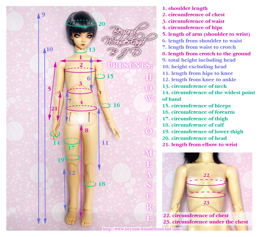 Doll Measurements Chart